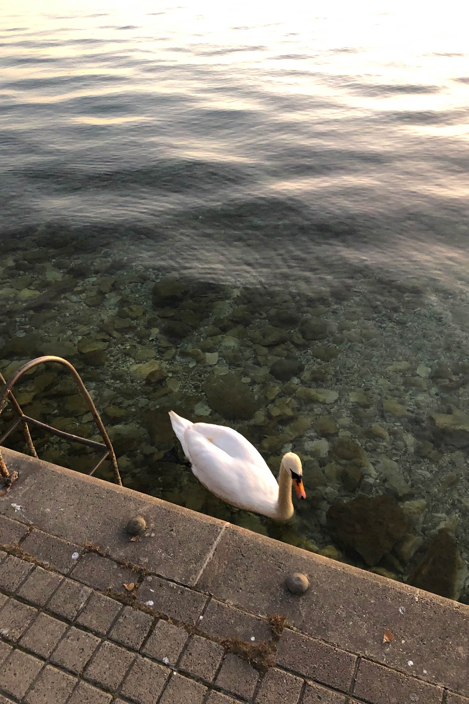 lake Ohrid